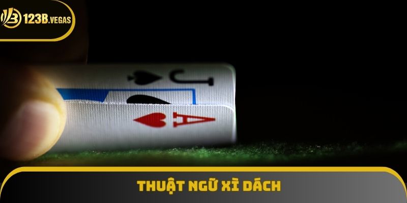 Top thuật ngữ cơ bản dễ hiểu khi tham gia chơi game bài Top thuật ngữ cơ bản dễ hiểu khi tham gia chơi game bài